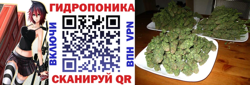 Купить наркотик Мураши Codein Меф мяу мяу ГАШ Амфетамин Cocaine Бошки Шишки А ПВП