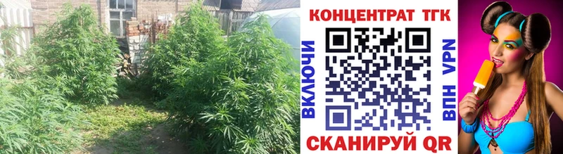 даркнет телеграм  Мураши  Дистиллят ТГК жижа  даркнет сайт 