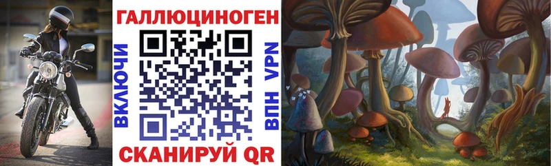 Галлюциногенные грибы Magic Shrooms  хочу наркоту  Мураши 